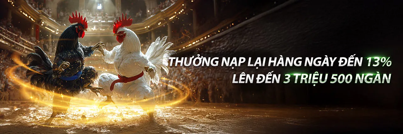 Đá Gà Trực Tuyến Hấp Dẫn tại vmax678